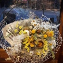 今日は暖かいです。