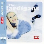 ディスクユニオン下北沢店