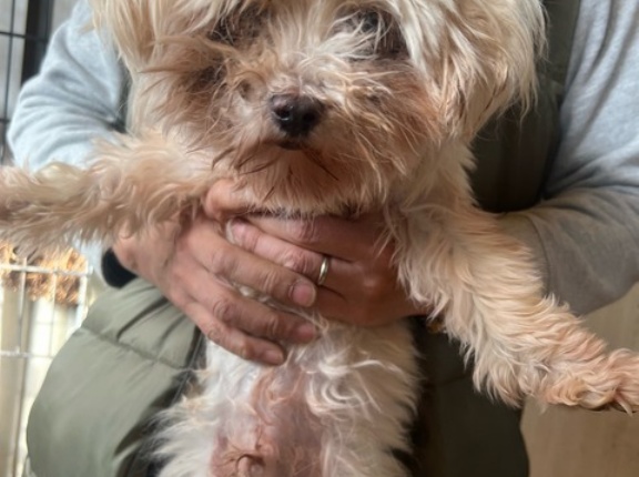 本日もレスキュー日和でした😅💦