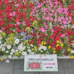 小林玲子の善光寺表参道日記