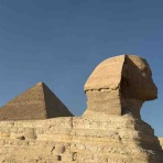 Madame Cowの呑気な独り言