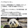 上野動物園のパンダ舎、不要なので解体w