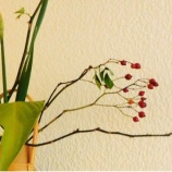 『謹賀新年2026（1）スナップショット「凱風快晴」（18）』の画像