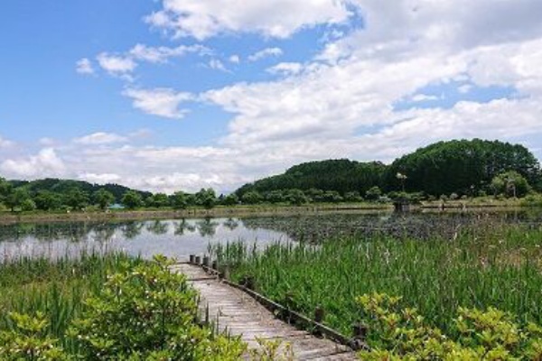 小林玲子の善光寺表参道日記 歴史