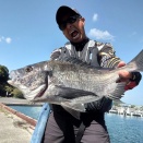 しまなみ海道でのチヌ釣りは