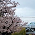 快特京王稲田堤の日々の日記