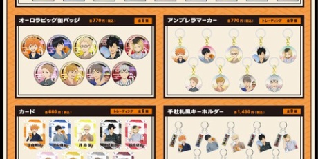 アニメ＆漫画 グッズ情報 - ハイキュー!!