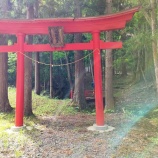 『牛頭天王』の画像