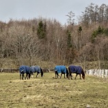 『強風』の画像