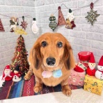 ゆうなぎ動物病院