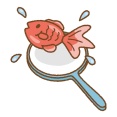 【動画】この時期の金魚、スーパーボールすくいのおっさん、ヤバいｗｗｗｗｗｗｗｗｗｗｗｗｗｗｗｗ