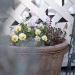 ゆとりあるシンプルな暮らし