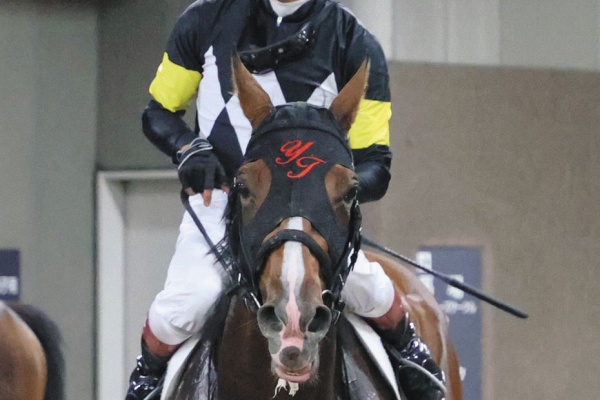 競馬ファンのこえ ダービー