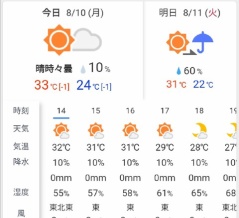 31,1℃