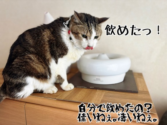 微回復シュウさま♪ご心配感謝。