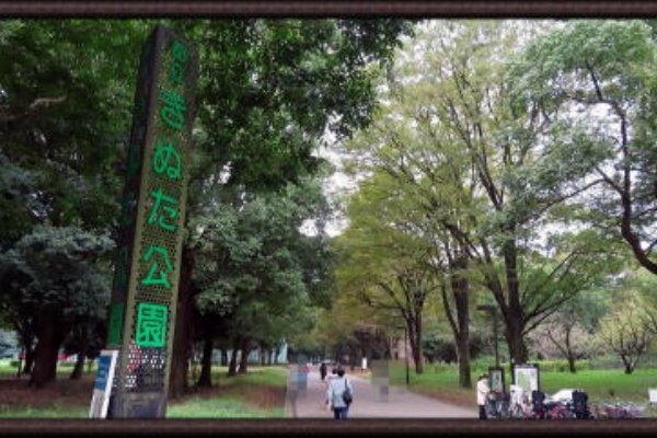 すたこら日記 世田谷 砧公園