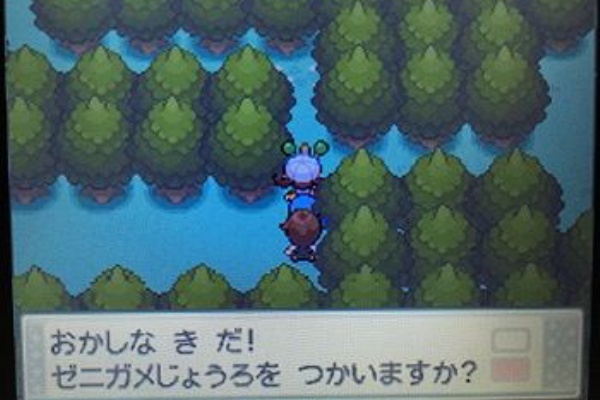 エルの冒険記 うごく木の先にはエンジュシティ 夫婦で遊ぶ 気ままなポケモン冒険記