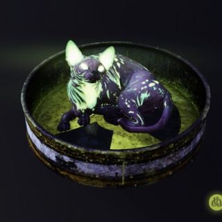 光る猫