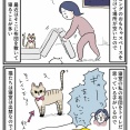 明け方の猫