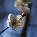 『不当な扱いを受けた人間による和解と許し』の画像