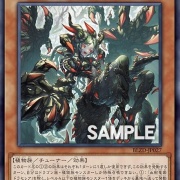 遊戯王OCG情報】ブレイジング・ドミニオンに『血樹竜姫ドラセレア』が