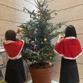 クラブにクリスマスツリーが来ました♪