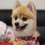 『10月24日（土）～25日（日）の営業について』の画像