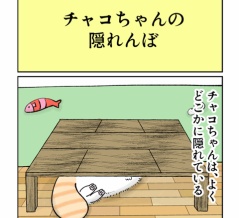 チャコちゃんの隠れんぼ