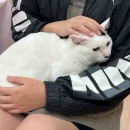 ハーベストの丘譲渡会&週末ご飯