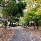 ぽちゃこの散歩道 / 脊髄空洞症の進行状況