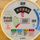 これは⬇️何だろ？