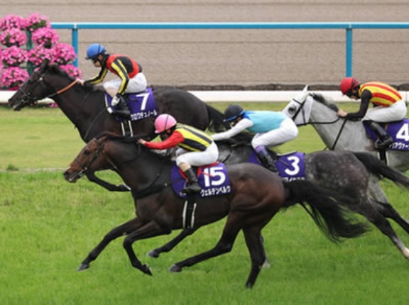 【天皇賞･春】キタサンブラック産駒ワンツーフィニッシュ