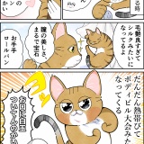 ネコ可愛い大会、開催