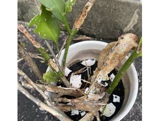 ほどよい緊張感