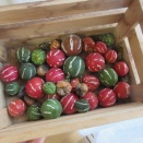 店内をぷらぷら。