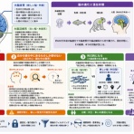 Wondershare Technology