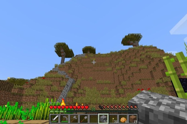 村から始めるminecraft 道路