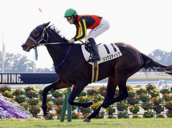 【エリザベス女王杯】リンクスティップ2番人気とは何だったのか