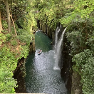 向島ポンポコ日記