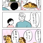 ガイックとのフランス暮らし
