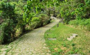 "琉球王府"時代の石畳道を歩く