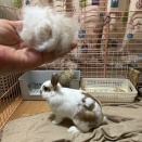 りあちゃんの涙。