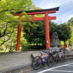 tour de douguのブログですよ