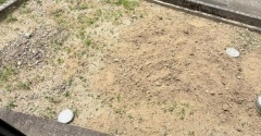【シニアライフ：二拠点生活】田舎の一戸建て…夏は草との戦いです。。