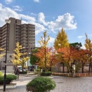 2025.11/28（金）の夕ご飯です