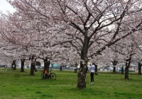 足跡 Tv番組から思ったこと 一緒に歩こう