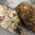 齊藤超の農的ブログ　(みやもと山・Three little birds)