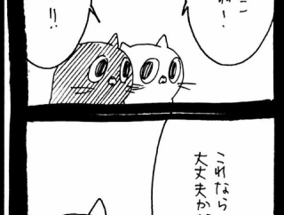 選挙に出馬しよう52