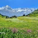 インスタグラムのフォロワー1万人を突破 ♪