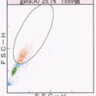 フローサイトメトリーの読み方